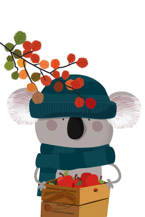 Koala Australia (TAS)