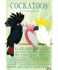 Tea Towel Cockatoos Australia