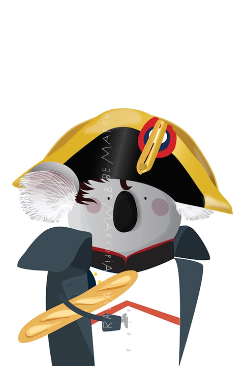 Koala France - Napoleon