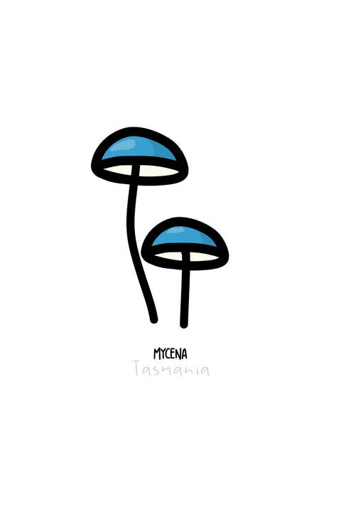 Tasmanian Mycena