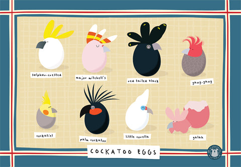 Tea Towel Cockatoo Eggs