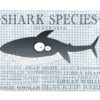 shark species of Australis
