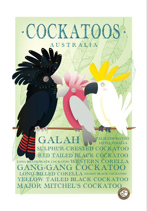 teatowel cockatoos of Australia