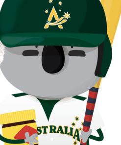 koala baseball australia