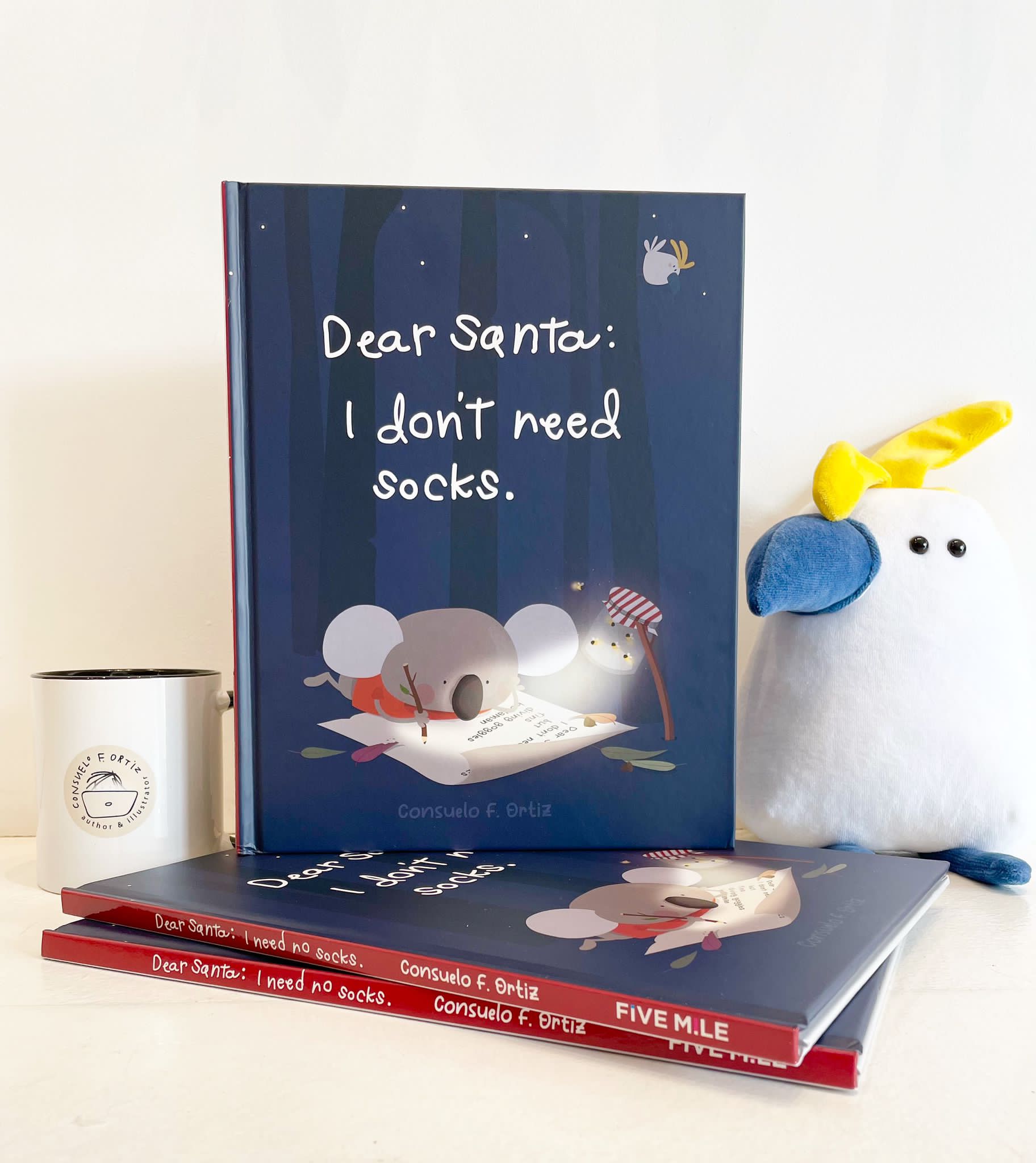 Book "Dear Santa, I don't need socks"